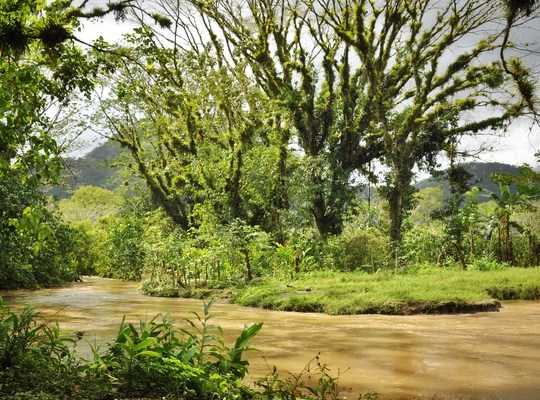 Rivière, Pena Blanca, Honduras