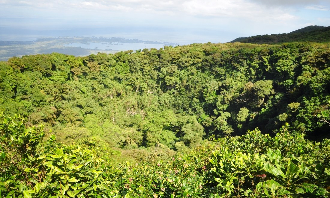 Cratère et végétation  Mombacho, Nicaragua