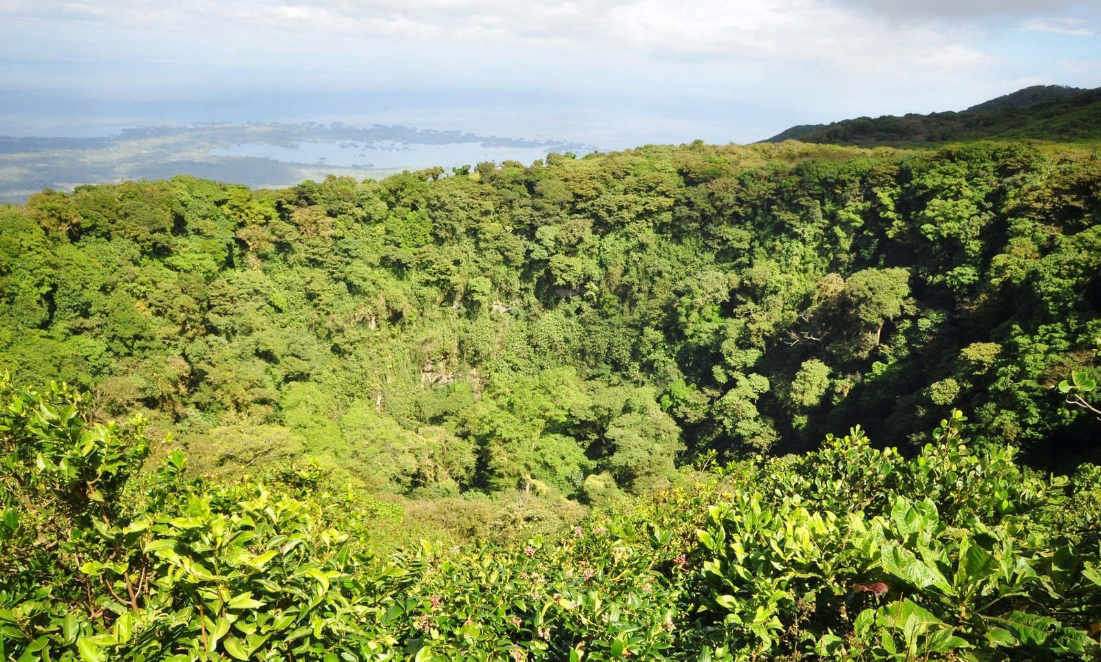 Cratère et végétation Mombacho, Nicaragua Cratère et végétation Mombacho, Nicaragua