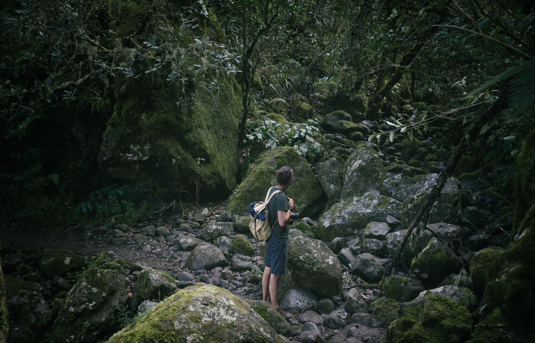 Seb en randonnée dans la foret de La Réunion 