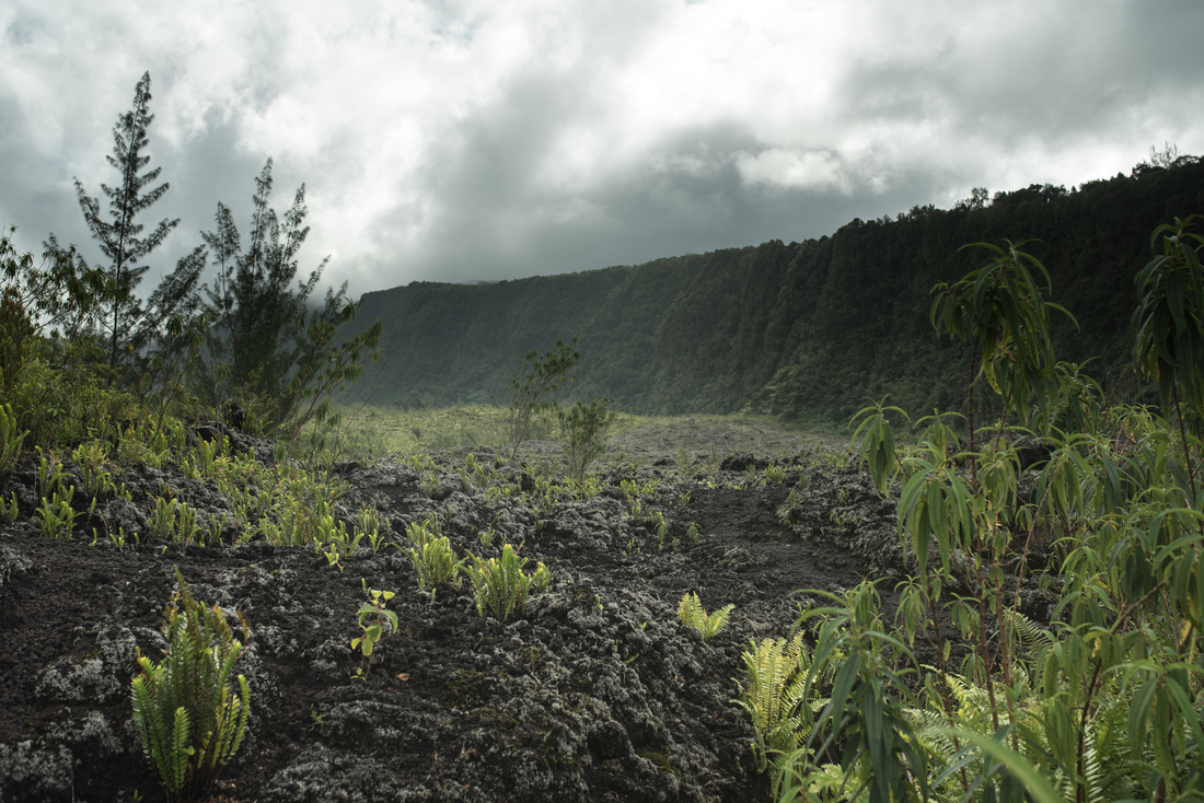 Paysage de désolation, à la Réunion