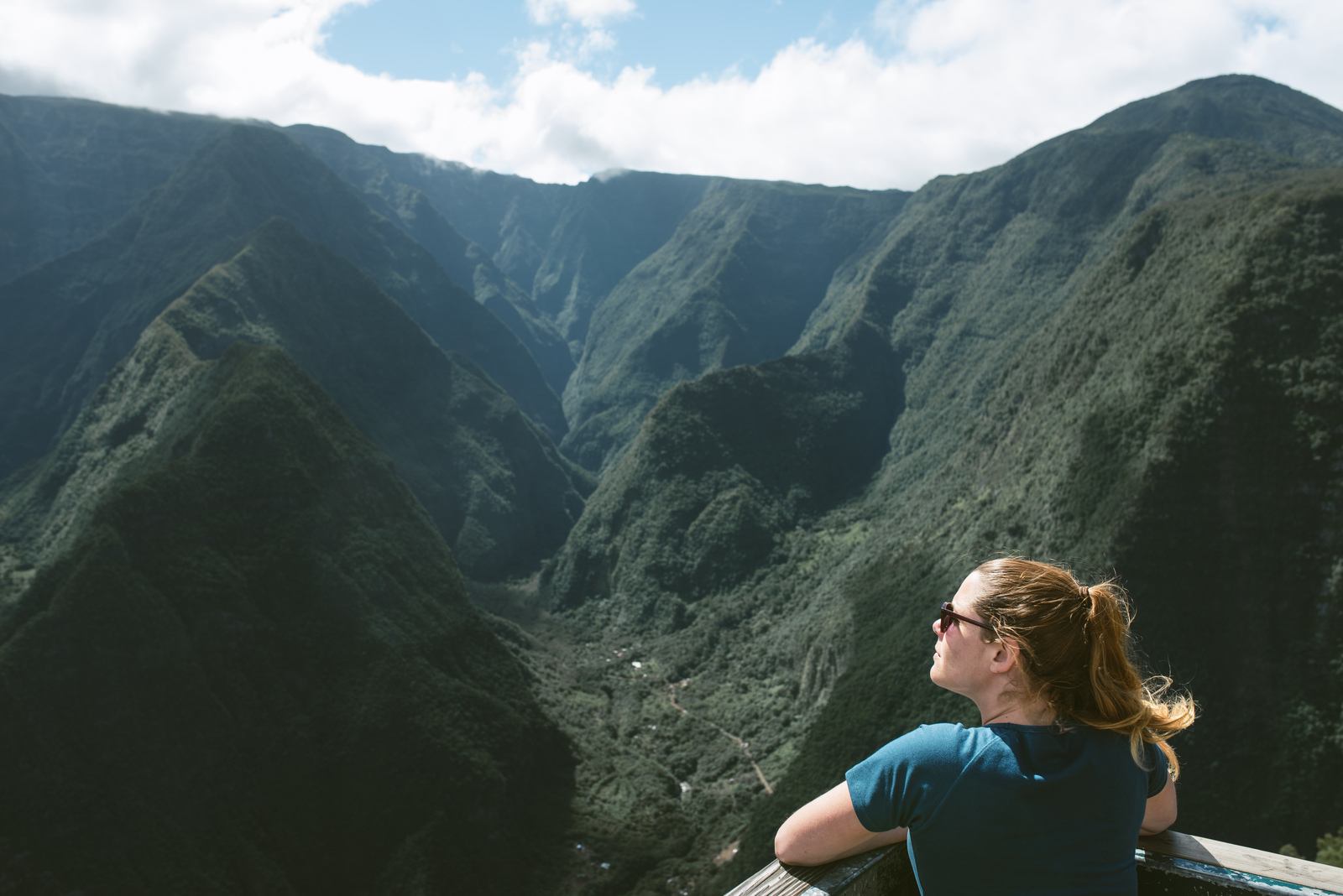 Depuis le Belvédère de Bois Court
