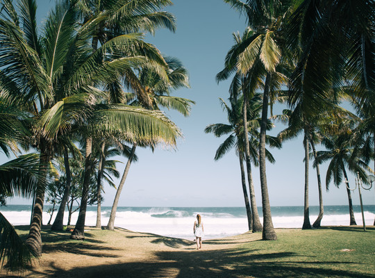 Manue sur la plage de Grande Anse