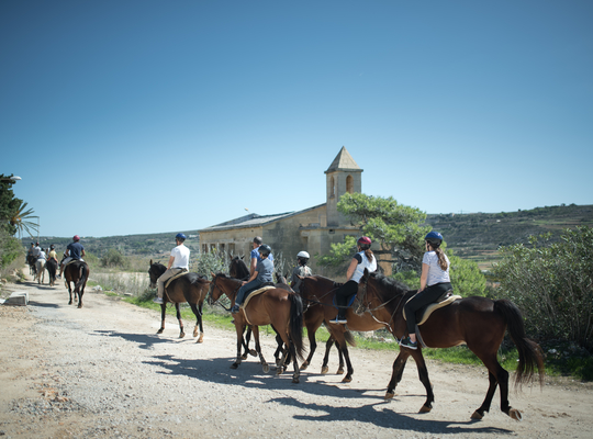 Balade à cheval à Malte