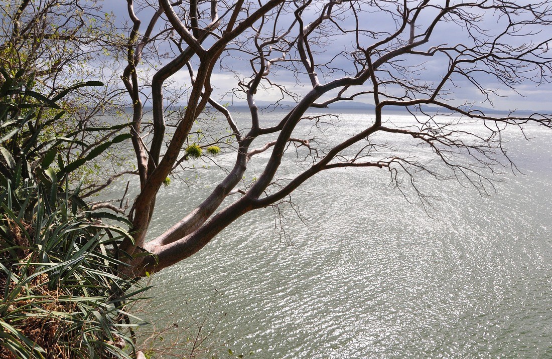 Ometepe sur le lac Nicaragua