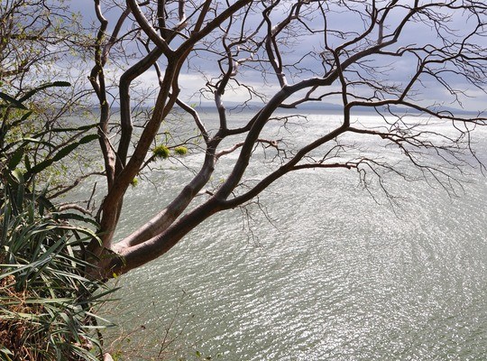 Ometepe sur le lac Nicaragua