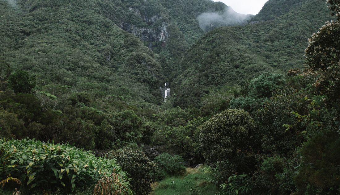 Une cascade (encore !), La Réunion 