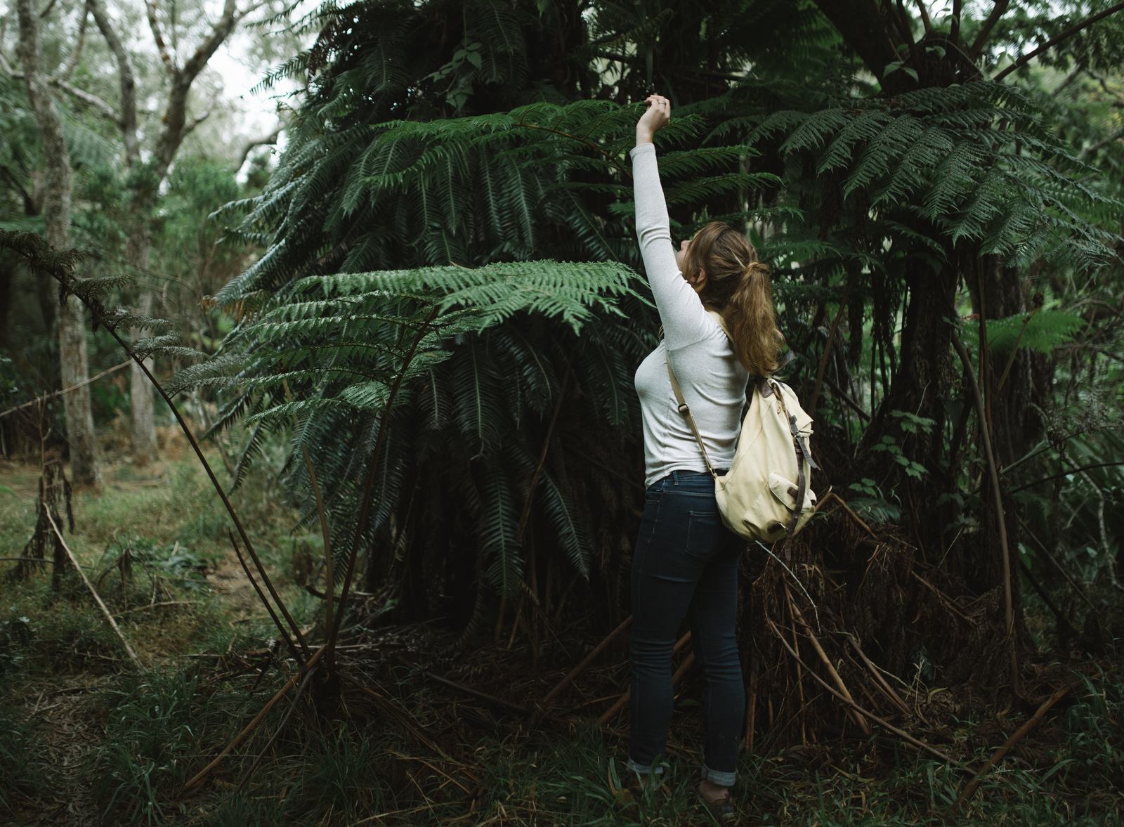 Se sentir si petit dans la végétation Se sentir si petit dans la végétation