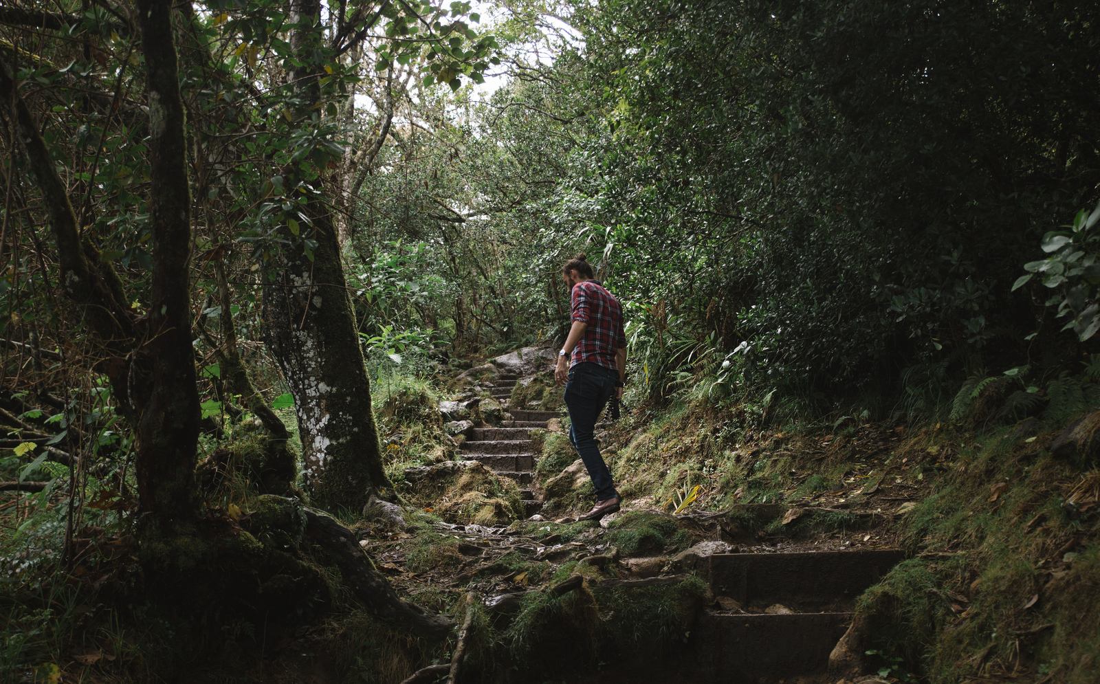 En route pour le Trou de Fer En route pour le Trou de Fer