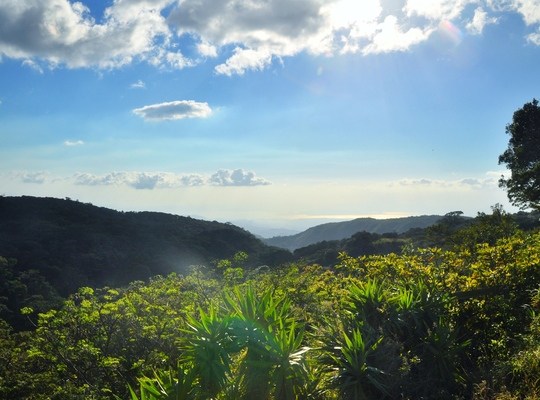 Paysage de Monteverde au Costa Rica