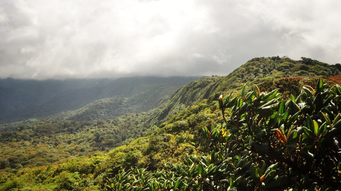 Nuages sur Monteverde, Costa Rica