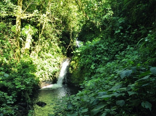 Cascade dans la réserve de Monteverde