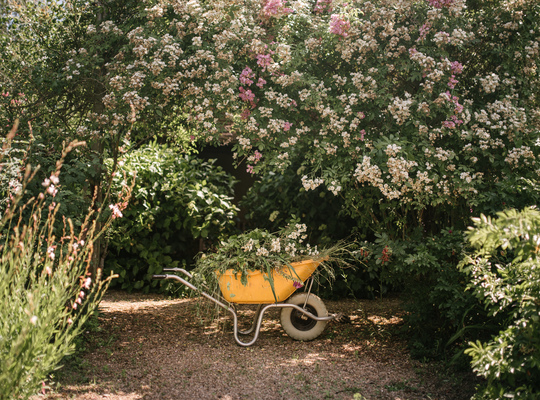 Brouette fleurie, Jardins de Drulon