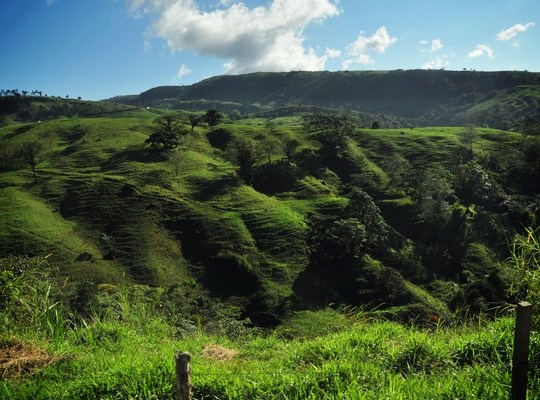 Paysage de Monteverde