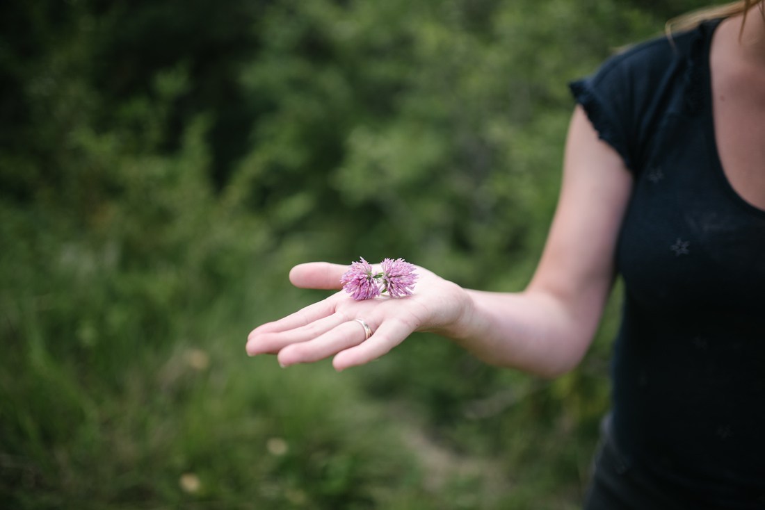 Fleur de trèfle 