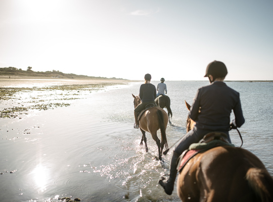 Balade à cheval matinal les pattes dans l'eau 