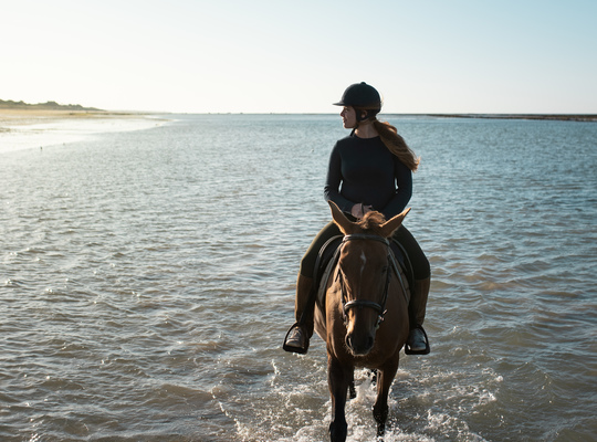 Balade à cheval sur la plage de La Couarde