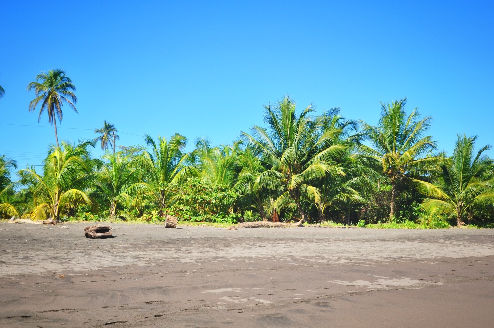 Plage Et Soleil à Tortuguero Costa Rica Tortuguero Au Costa