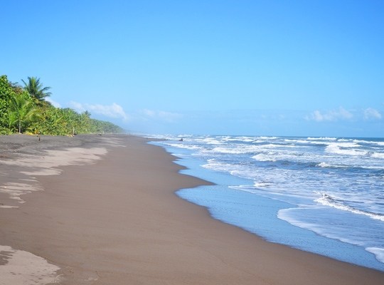 Seul sur la plage à Tortuguero, Costa RIca