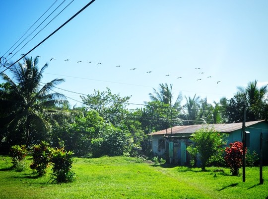Le village de Tortuguero, Costa RIca