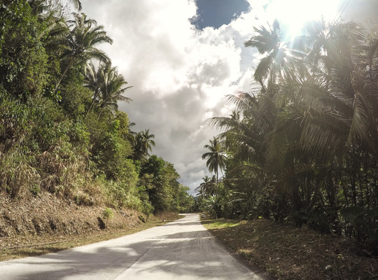 Sur les routes de Bohol