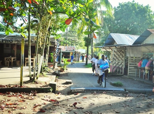 Rue de sable Tortuguero, Costa RIca