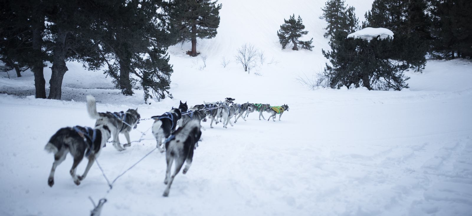 Virage à pleine vitesse