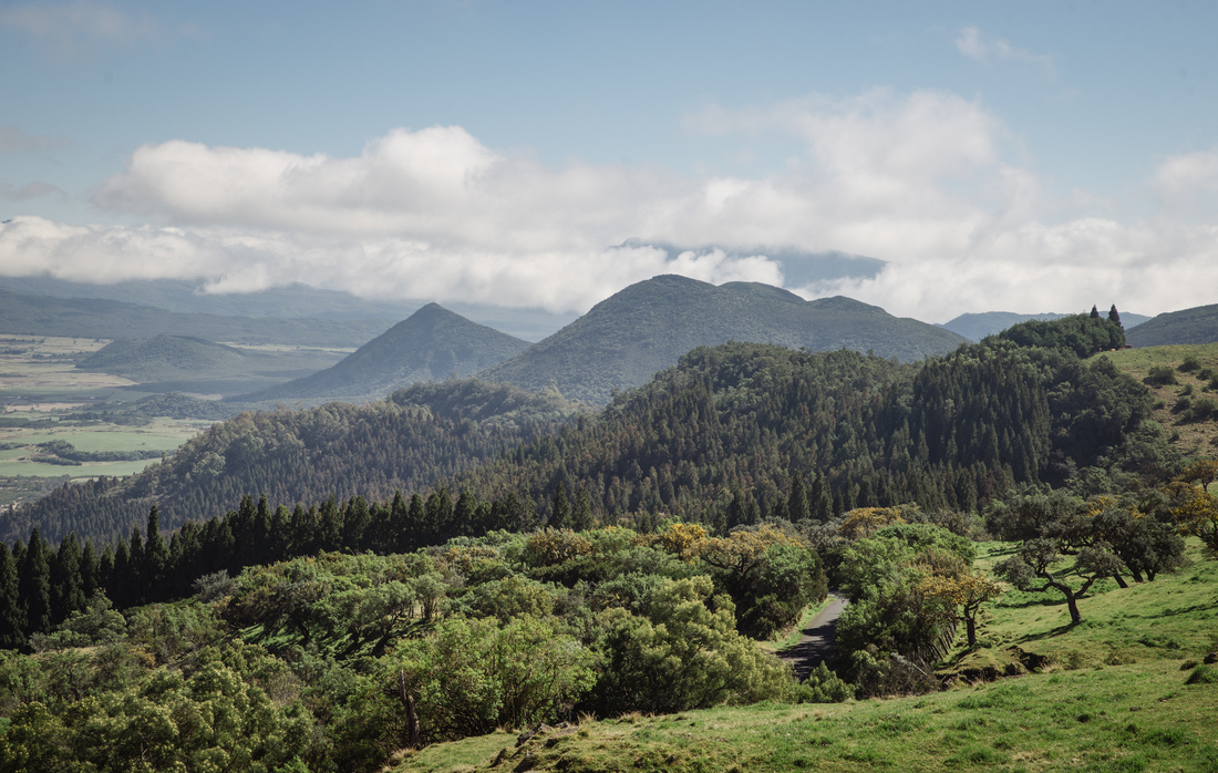 La Plaine des Cafres à la Réunion