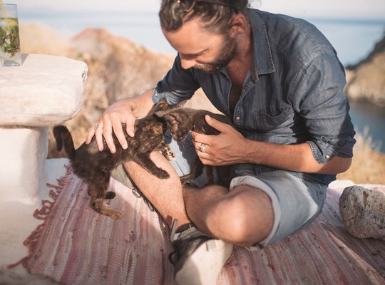 Les chatons du bar de Costa