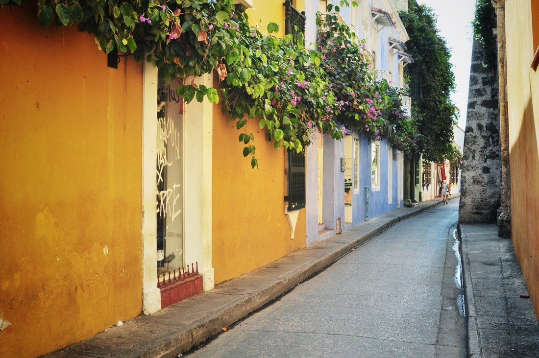 Fleurs dans les rues de Carthagène, Colombie