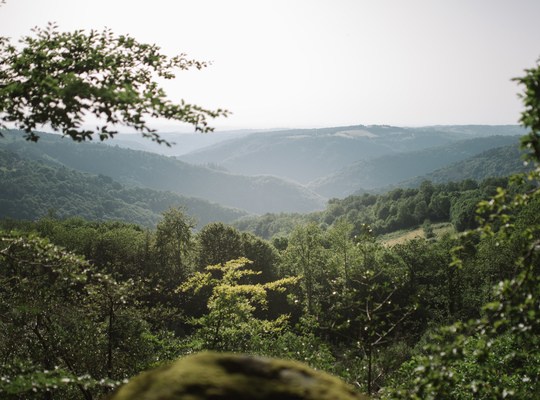 Paysage du Tarn en balade dans le SIdobre 