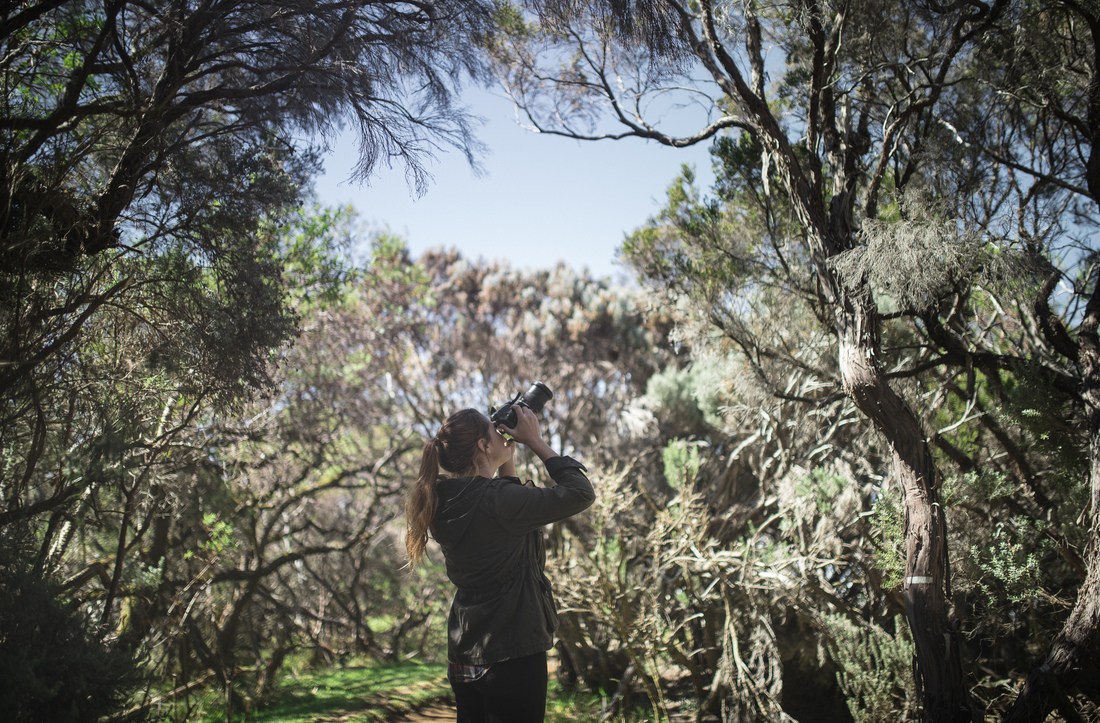 Photographiant l'étonnante végétation du Piton