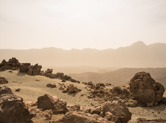 Roches volcaniques du Teide 