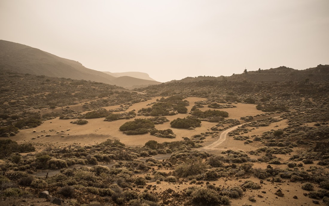 Minas de San Jose, Teide