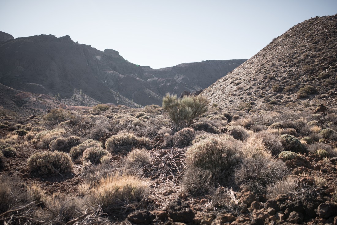 Les superbes paysages du parc d'El Teide