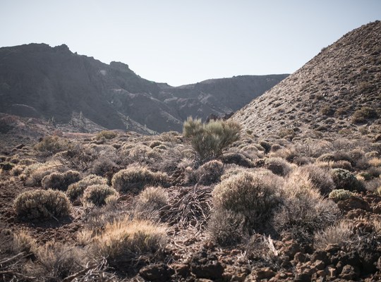 Les superbes paysages du parc d'El Teide
